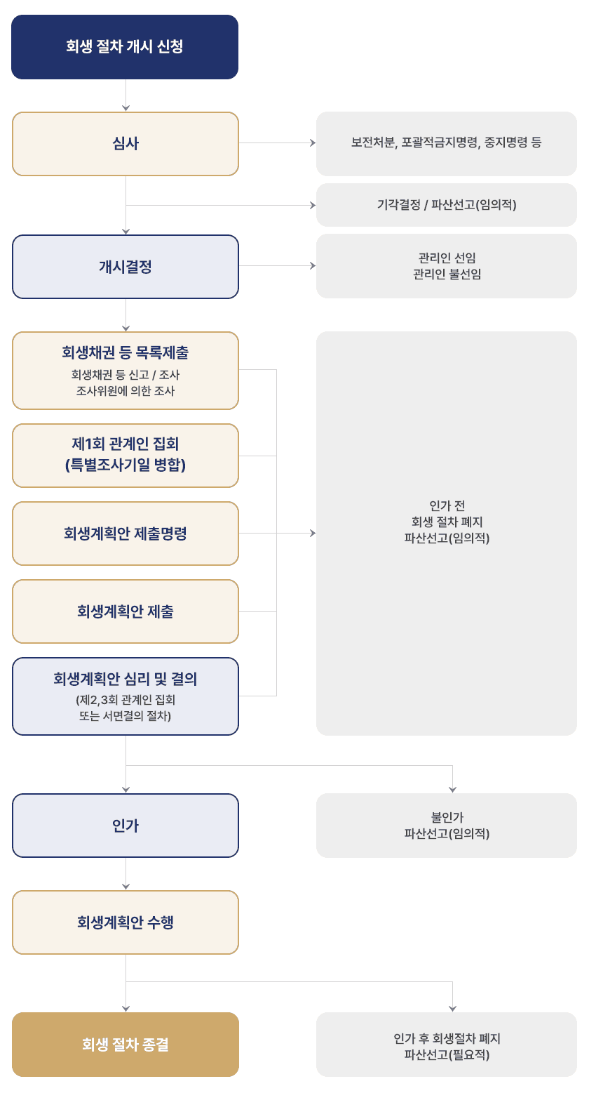 법인회생 진행절차 다이어그램